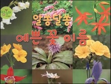 알쏭달쏭 예쁜 꽃 이름 (들꽃)
