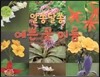 알쏭달쏭 예쁜 꽃 이름 (들꽃)