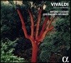 Bruno Cocset 비발디: 첼로 소나타 (Vivaldi: Cello Sonatas Op.14)