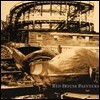 Red House Painters (레드 하우스 페인터스) - Red House Painters (aka Rollercoaster) [2LP]
