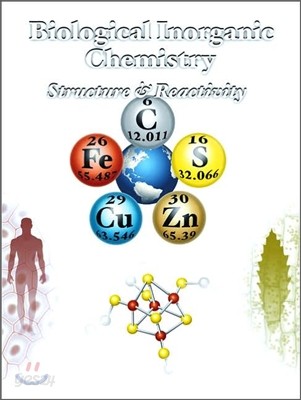 Biological Inorganic Chemistry