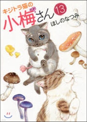 キジトラ猫の小梅さん  13