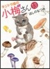 キジトラ猫の小梅さん  13