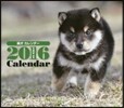 柴犬 2016年 ミニカレンダ-