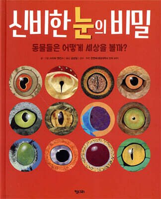 신비한 눈의 비밀