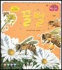 꿀벌 (곤충)