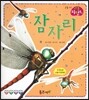 잠자리 (곤충)