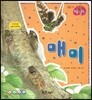 매미 (곤충)