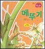 메뚜기 (곤충)