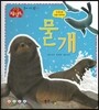물개 (물에사는동물)