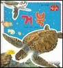 거북 (물에사는동물)