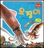 오징어 (물에사는동물)