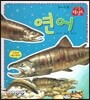 연어 (물에사는동물)