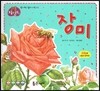 장미 (꽃과 나무)