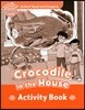 Read and Imagine Beginner: Crocodile In The House Activity Book