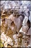 페이블즈(FABLES) 디럭스 에디션 6