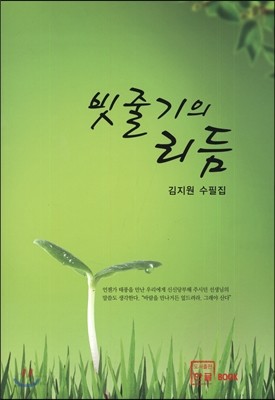 빗줄기의 리듬