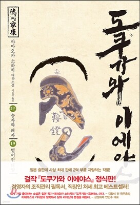 도쿠가와 이에야스 19