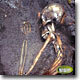 내셔널 지오그래픽 비디오 클래식 - 탐험편