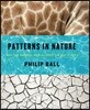 Patterns in Nature: Why the Natural World Looks the Way It Does