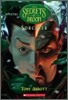 The Secrets of Droon Special Edition #4 : Sorcerer