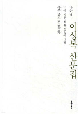 나는 왜 비에 젖은 석류 꽃잎에 대해 아무 말도 못 했는가