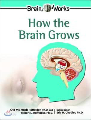 How the Brain Grows