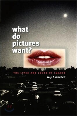 What Do Pictures Want?: The Lives and Loves of Images