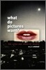 What Do Pictures Want?: The Lives and Loves of Images