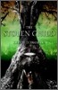 The Stolen Child : A Novel