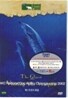 디스커버리 : 퀘스트호의 탐험 (1Disc)