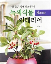 녹색식물 인테리어
