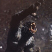 코난 2: 맨이팅혼터(Man-Eating Haunter Of The Pits)