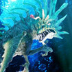워터드래곤(Water Dragon Clan 2)