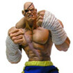 Sagat (사가트) 10인치