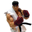 류 (Ryu) 9인치