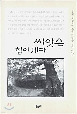 씨앗은 힘이 세다