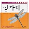 잠자리