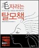 모 자라는 탈모책