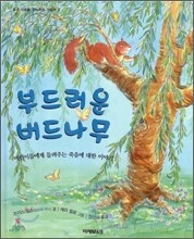 부드러운 버드나무