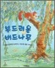 부드러운 버드나무