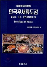 한국후새류도감