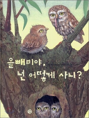 올빼미야, 넌 어떻게 사니?