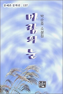 바람의 눈