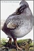 자연의 빈 자리