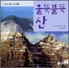 울뚝불뚝 산
