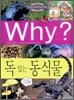 Why? 와이 독있는 동식물