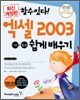할수있다! 엑셀 2003 기본+활용 쉽게 배우기