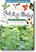 산야초를 찾아서