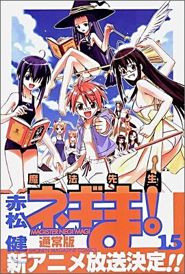 魔法先生ネギま! 15